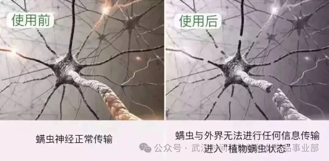  防螨！已成為健康的&ldquo;新剛需&rdquo;--武漢時(shí)間科技推出紡織品防螨整理劑喜化&reg;植螨零